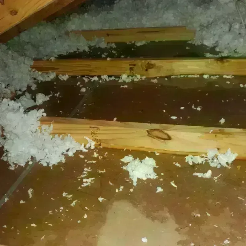 Attic Water Damage in McMechen, WV